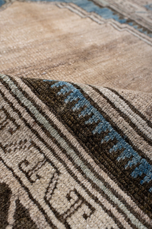 Antique Anatol Area Rug (2' x 4')